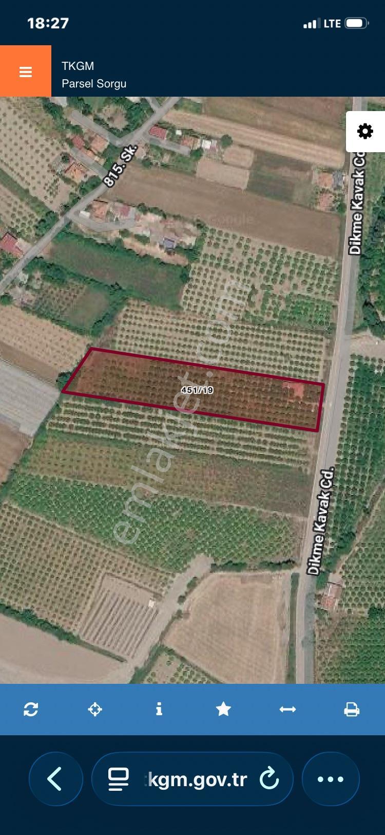 Ortaca Dikmekavak'ta 10.000 M² Satılık Bağ Ve Bahçe — fotoğraf 12