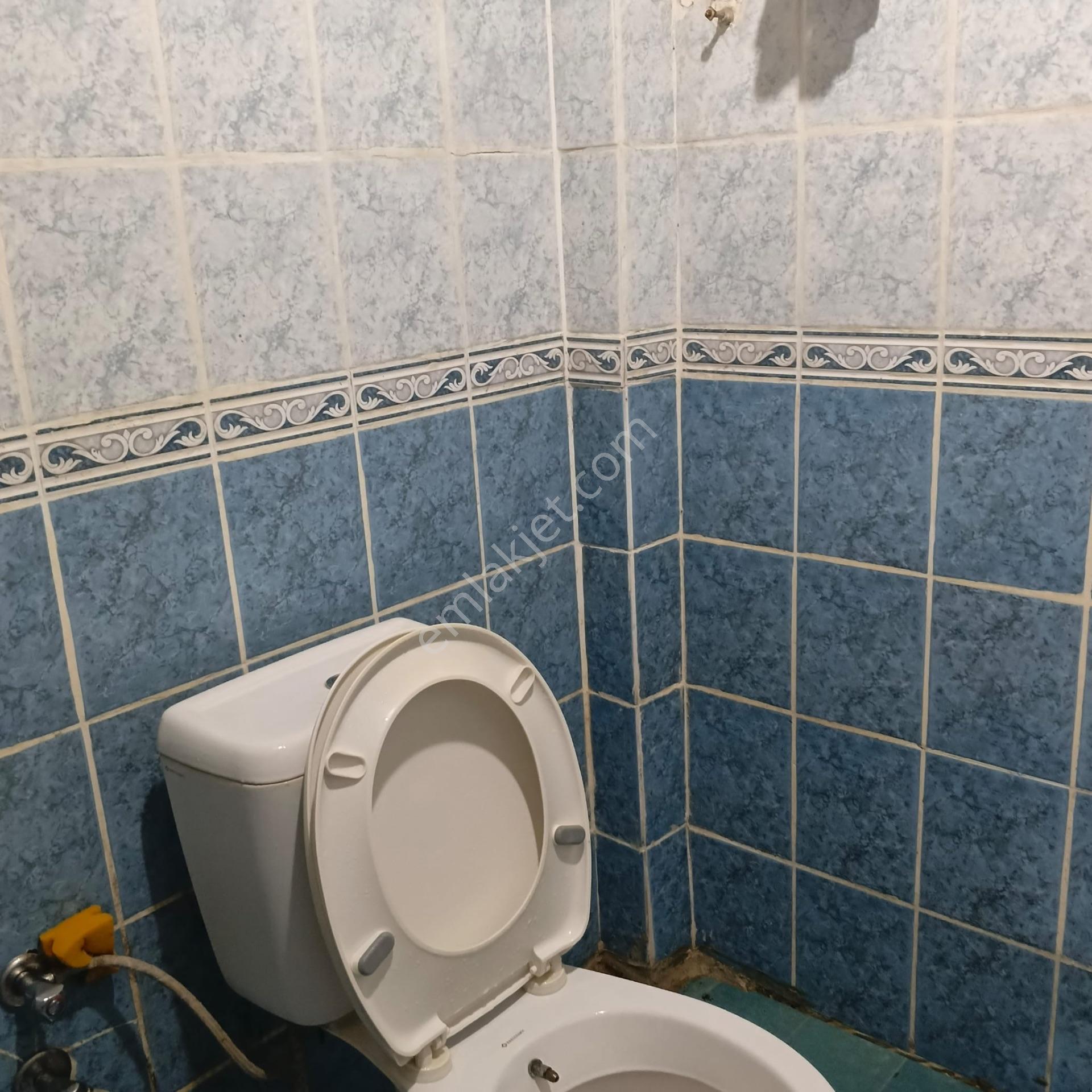 Ortaca Dikmekavak'ta 10.000 M² Satılık Bağ Ve Bahçe — fotoğraf 14