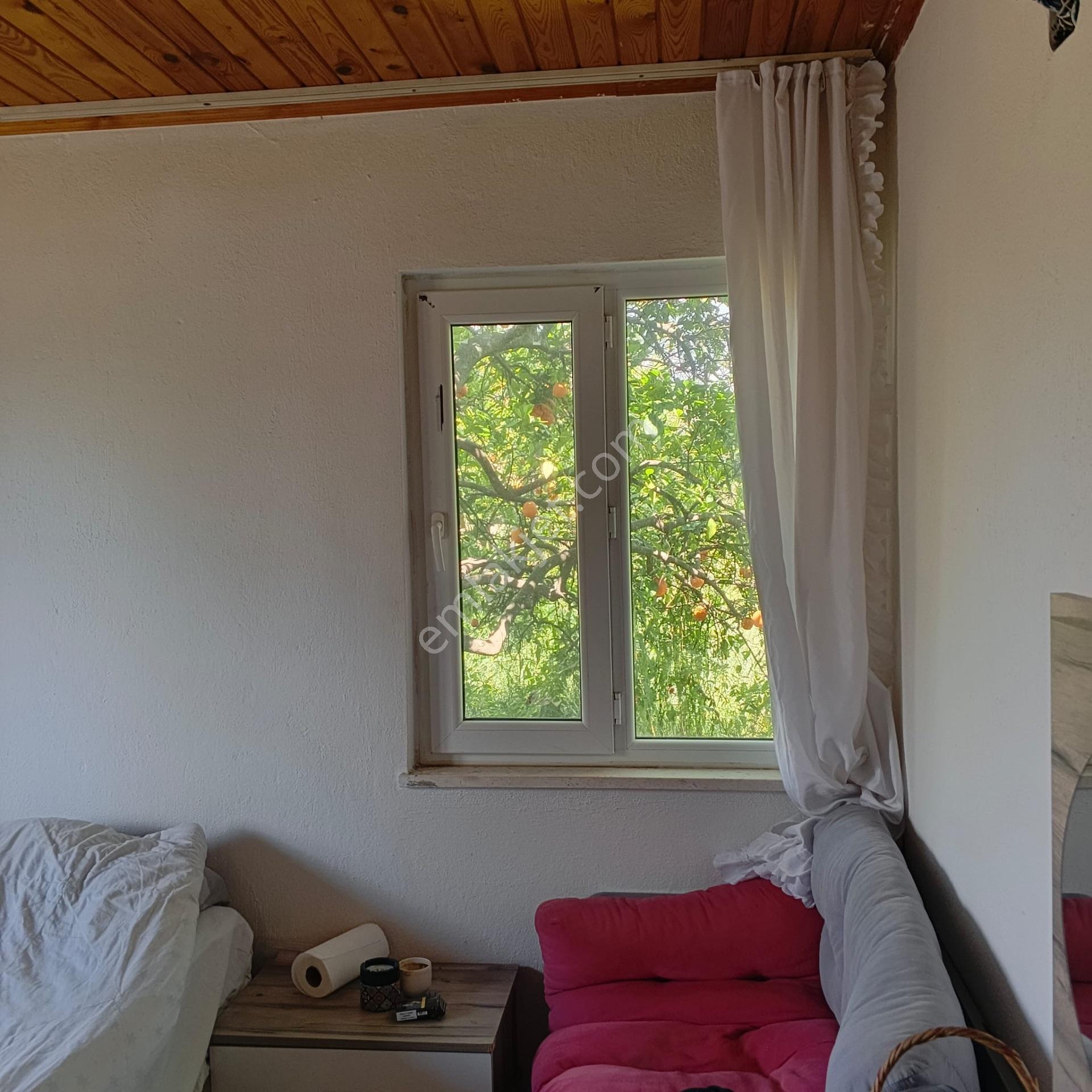 Ortaca Dikmekavak'ta 10.000 M² Satılık Bağ Ve Bahçe — fotoğraf 18