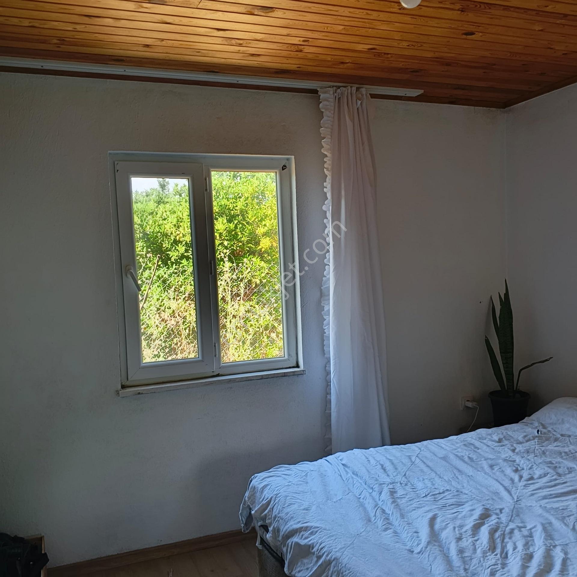 Ortaca Dikmekavak'ta 10.000 M² Satılık Bağ Ve Bahçe — fotoğraf 23