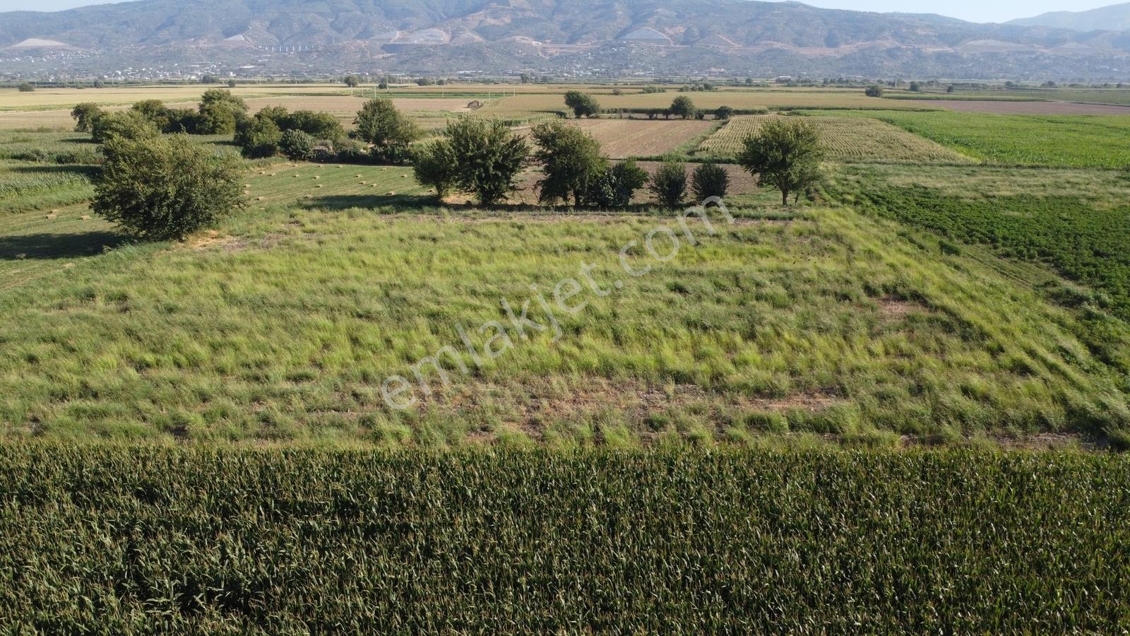 Umurlu'da Satılık Kaçırılmayacak 6.200 M² Tek Tapu — fotoğraf 2