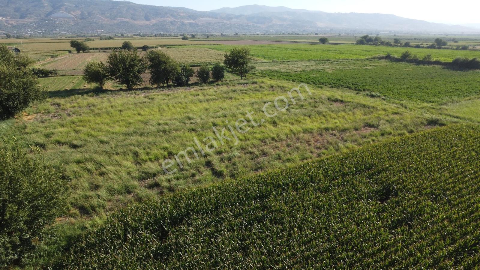 Umurlu'da Satılık Kaçırılmayacak 6.200 M² Tek Tapu — fotoğraf 3