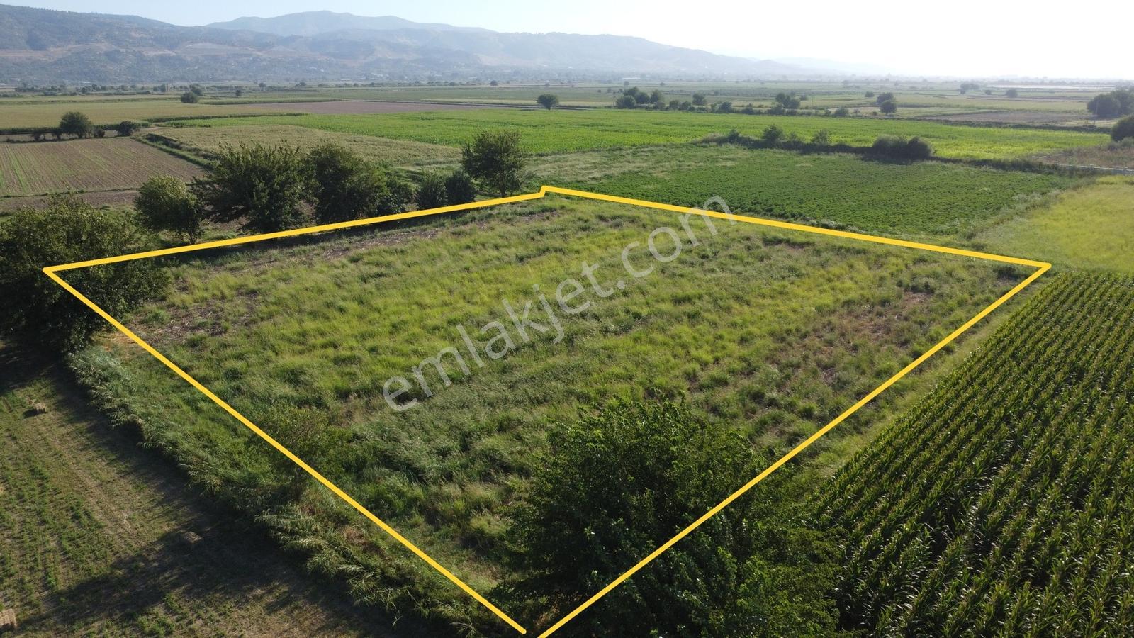 Umurlu'da Satılık Kaçırılmayacak 6.200 M² Tek Tapu — fotoğraf 4