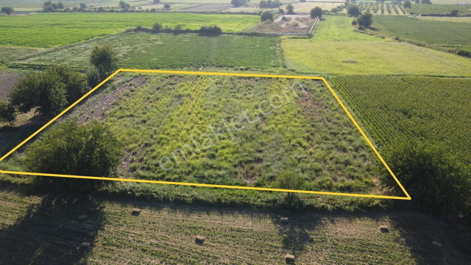 Umurlu'da Satılık Kaçırılmayacak 6.200 M² Tek Tapu — fotoğraf 5