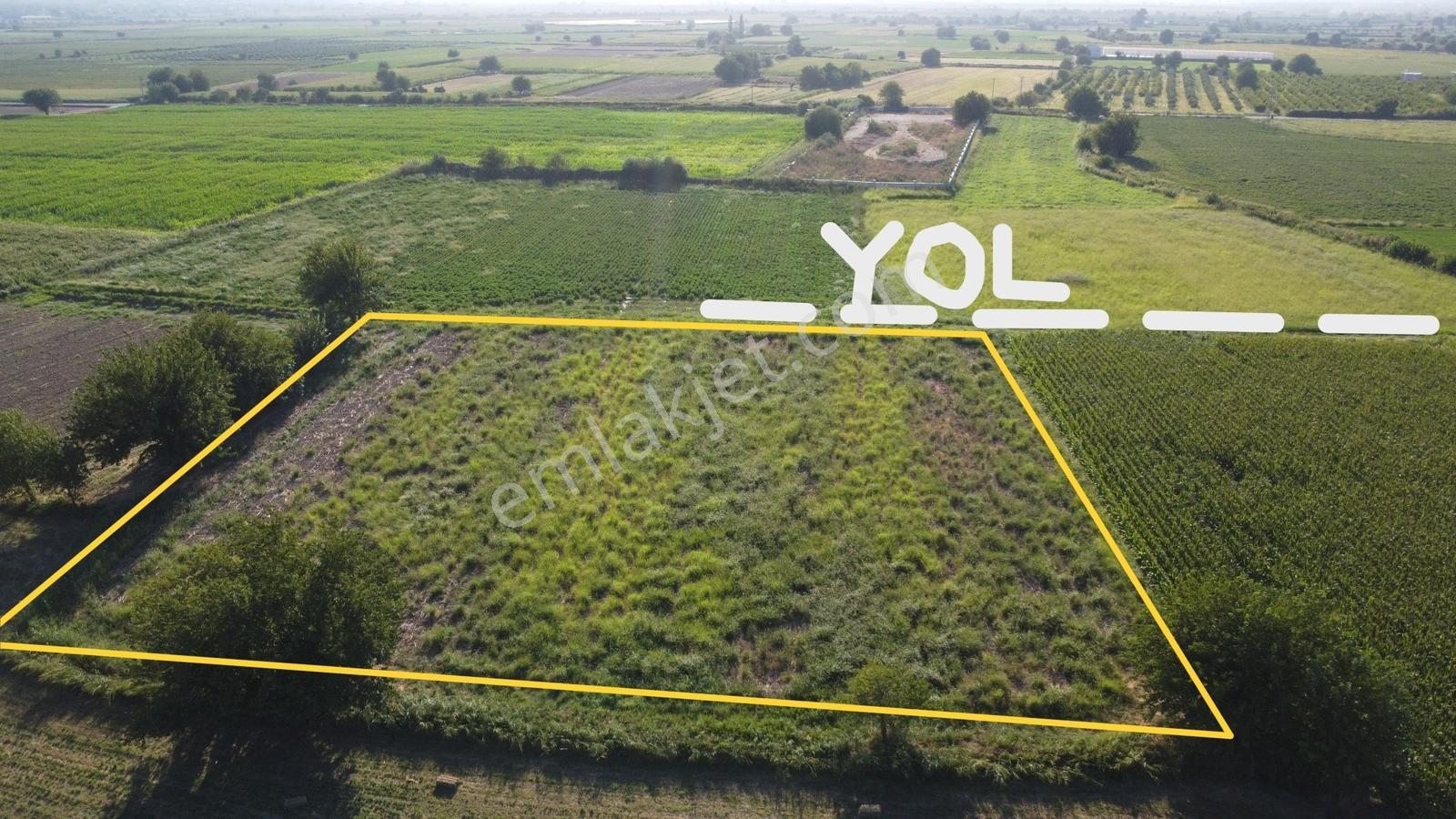 Umurlu'da Satılık Kaçırılmayacak 6.200 M² Tek Tapu — fotoğraf 6