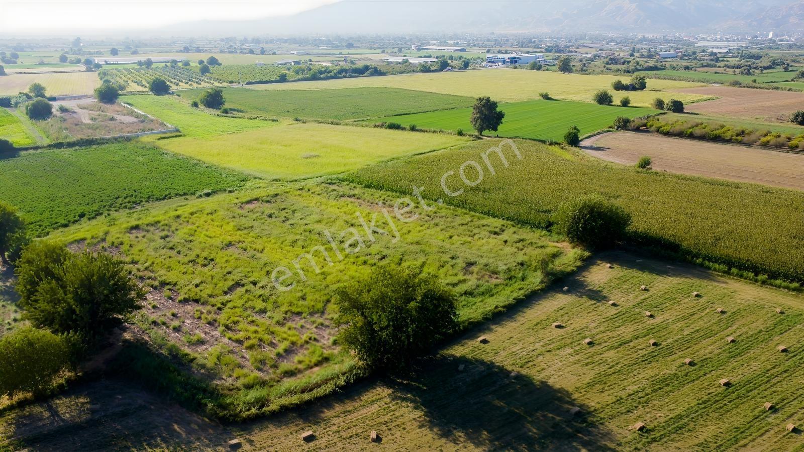 Umurlu'da Satılık Kaçırılmayacak 6.200 M² Tek Tapu — fotoğraf 7