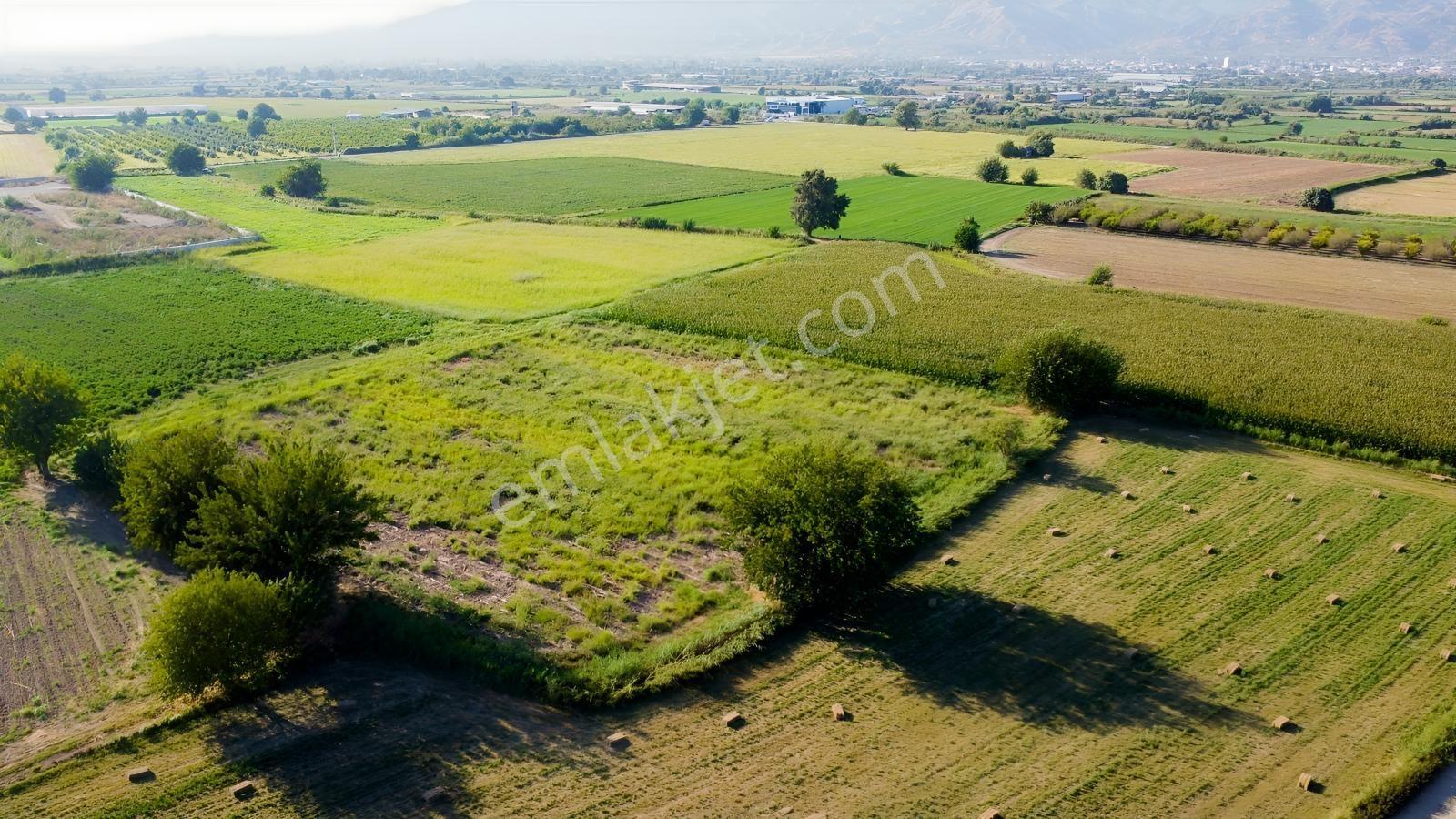 Umurlu'da Satılık Kaçırılmayacak 6.200 M² Tek Tapu — fotoğraf 8