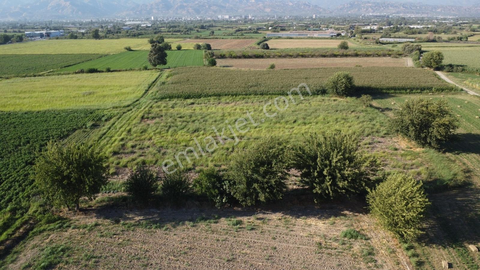 Umurlu'da Satılık Kaçırılmayacak 6.200 M² Tek Tapu — fotoğraf 9