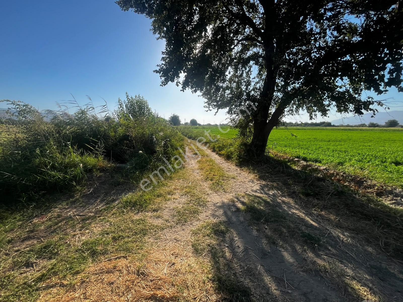 Umurlu'da Satılık Kaçırılmayacak 6.200 M² Tek Tapu — fotoğraf 11