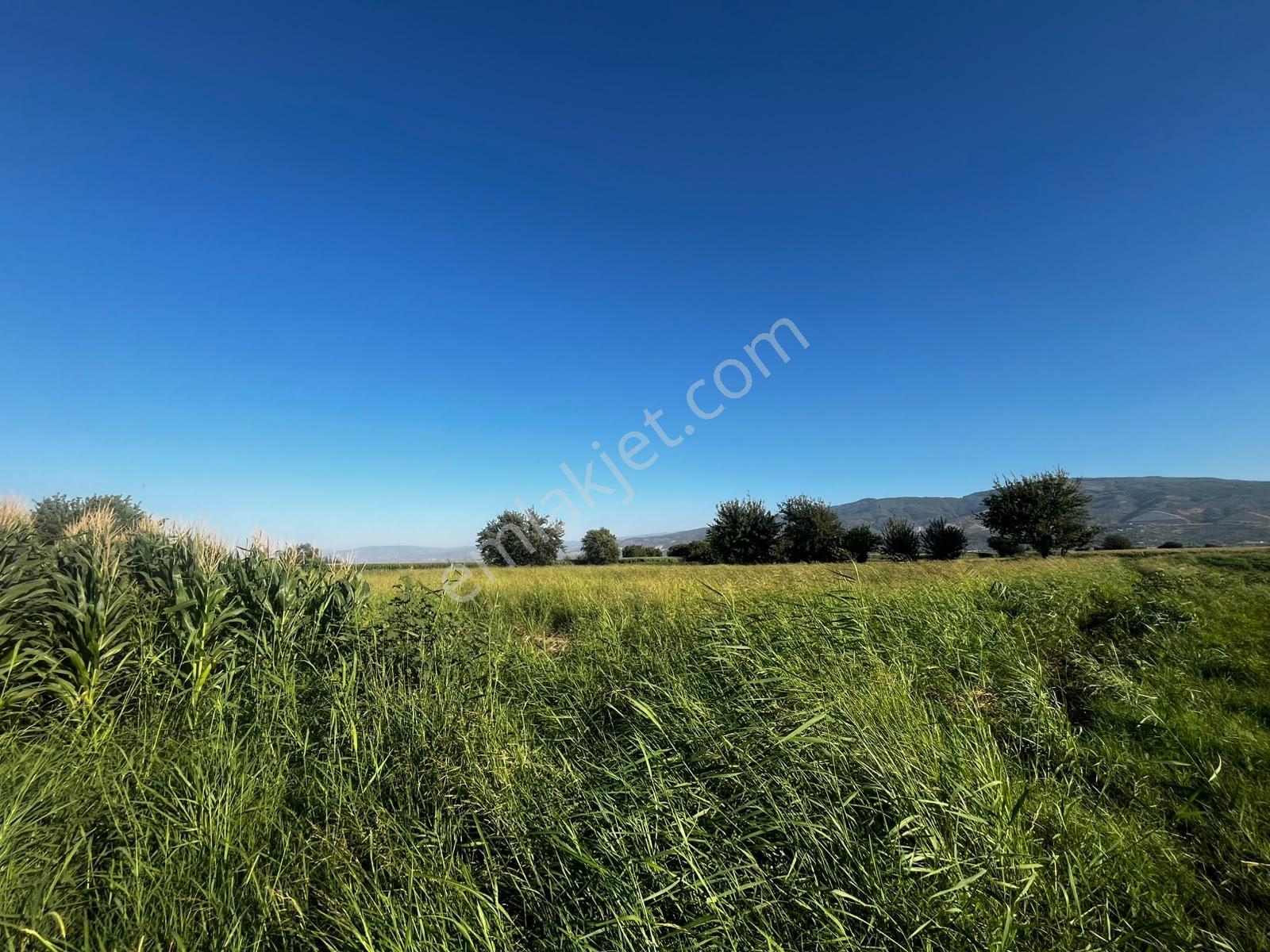 Umurlu'da Satılık Kaçırılmayacak 6.200 M² Tek Tapu — fotoğraf 13