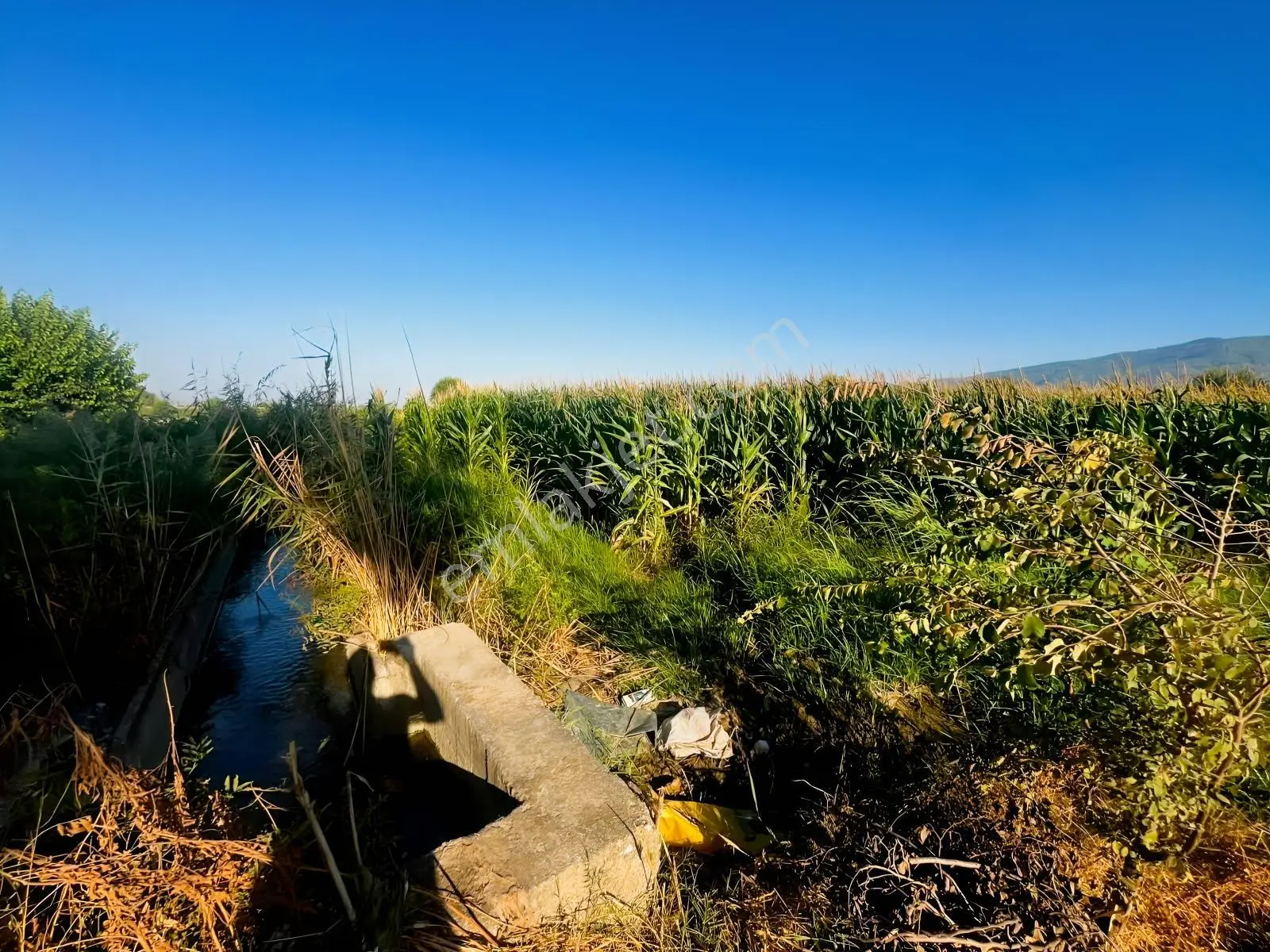 Umurlu'da Satılık Kaçırılmayacak 6.200 M² Tek Tapu — fotoğraf 14