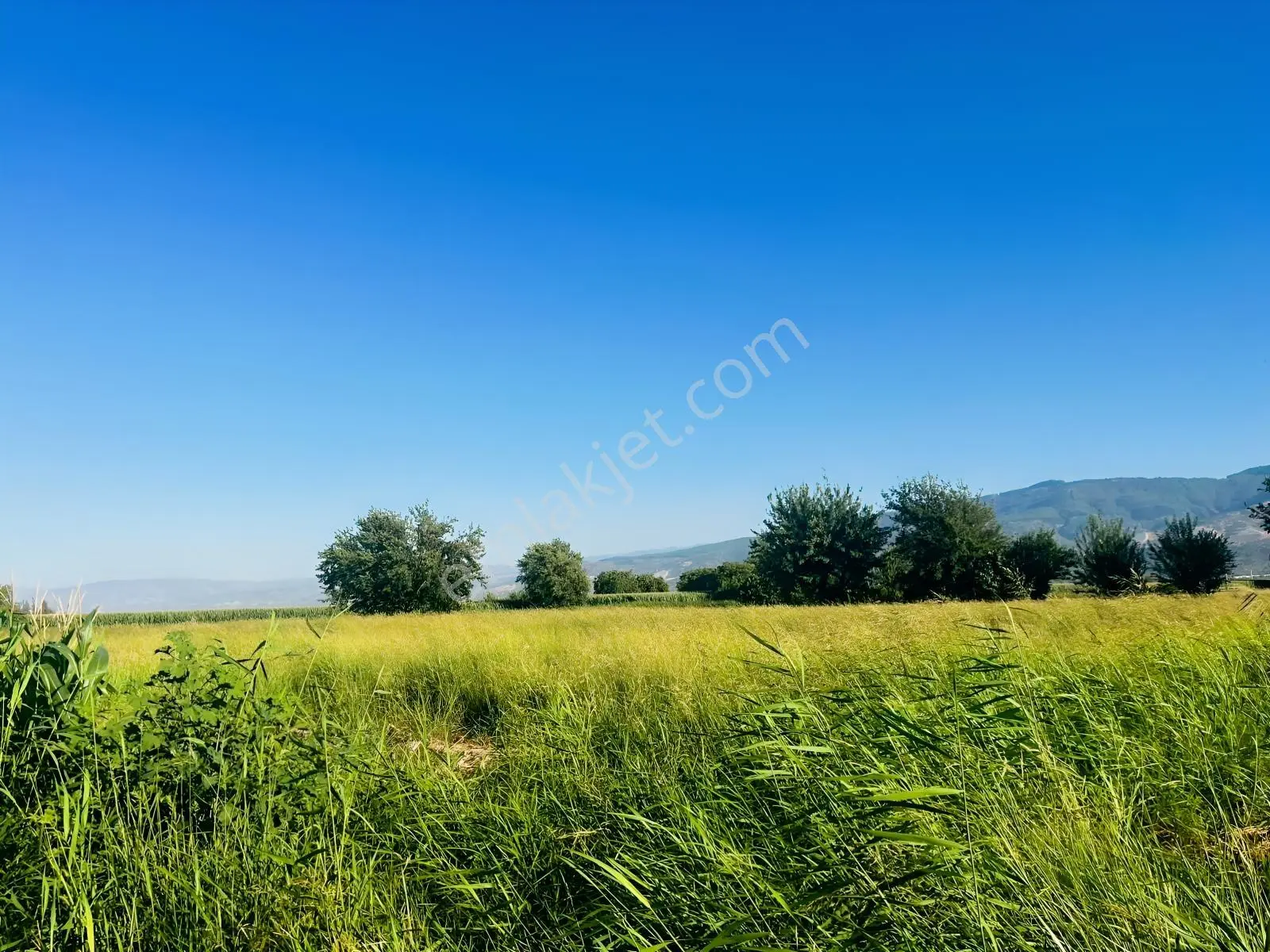 Umurlu'da Satılık Kaçırılmayacak 6.200 M² Tek Tapu — fotoğraf 17