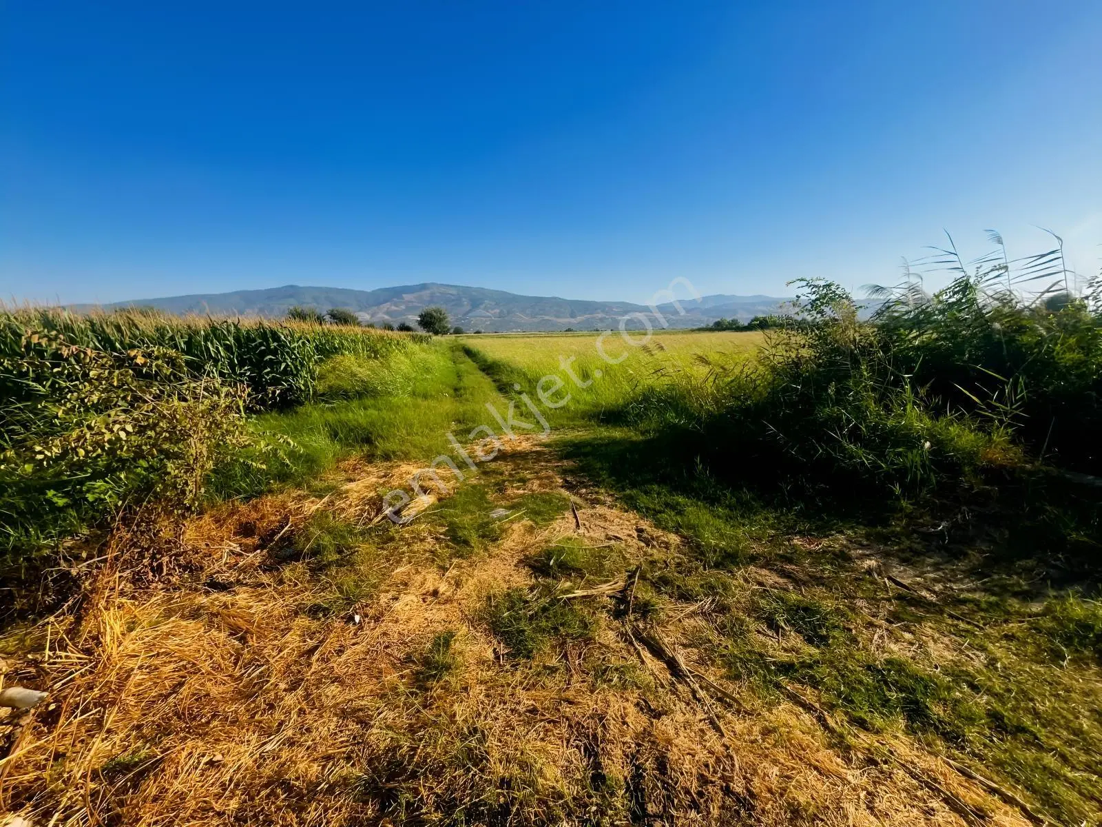 Umurlu'da Satılık Kaçırılmayacak 6.200 M² Tek Tapu — fotoğraf 18