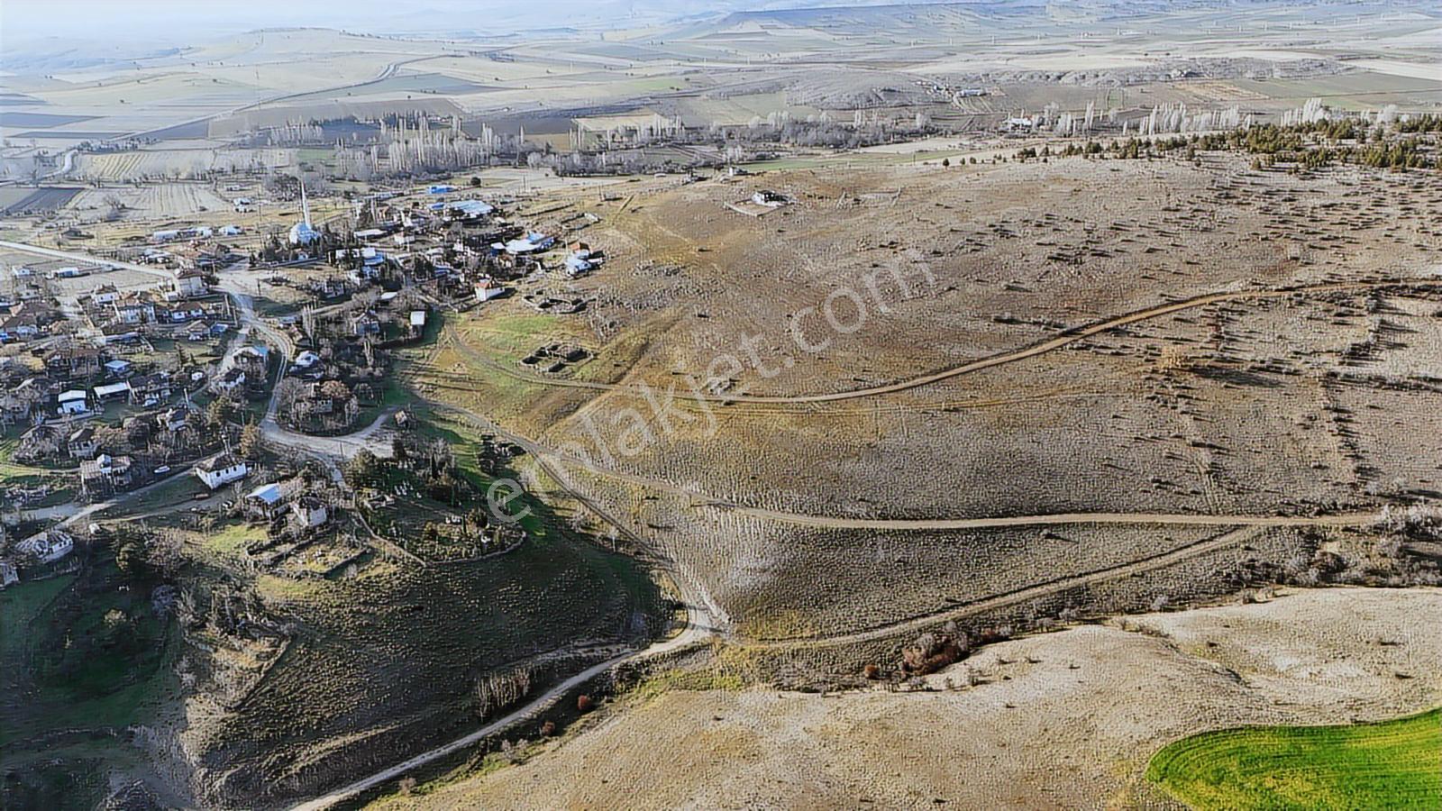 Cb-mark'tan Beypazarı İncepelit Köyü Arac Takaslı 730 Mk Arsa — fotoğraf 9