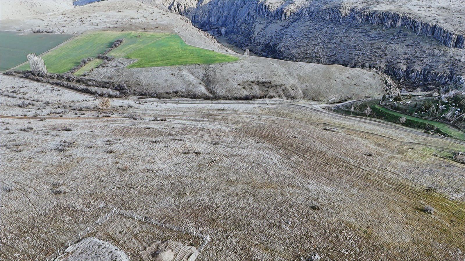 Cb-mark'tan Beypazarı İncepelit Köyü Arac Takaslı 730 Mk Arsa — fotoğraf 20