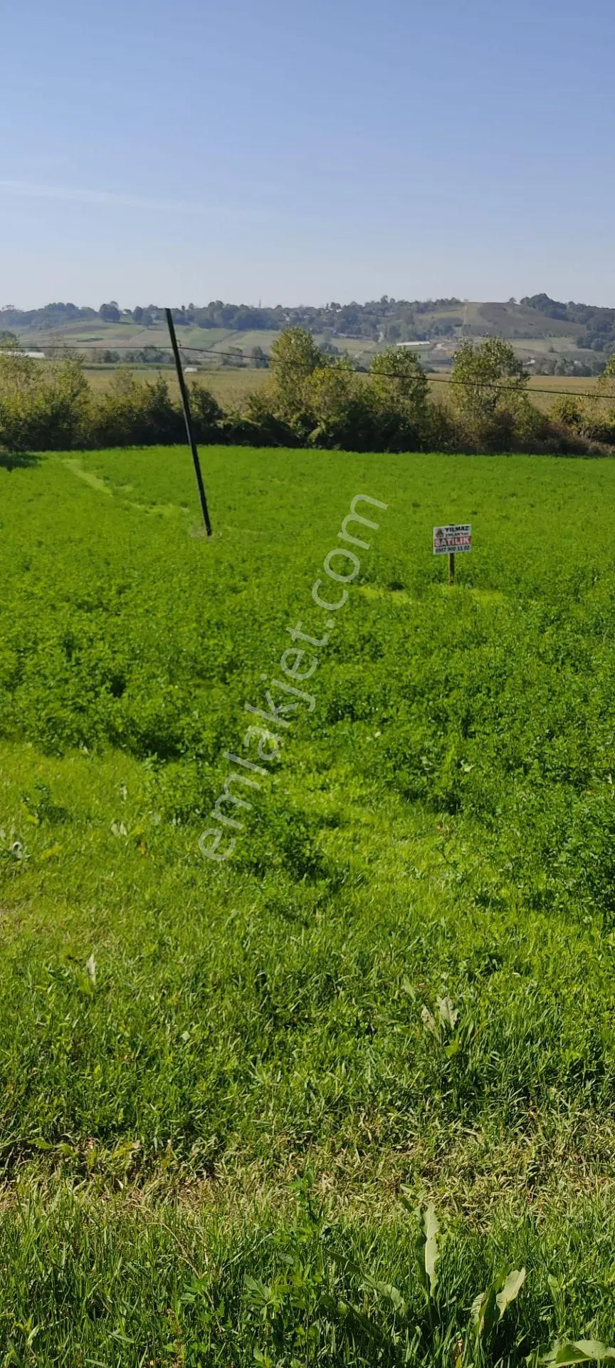 Yatırımlık Mükemmel Tarla — fotoğraf 2