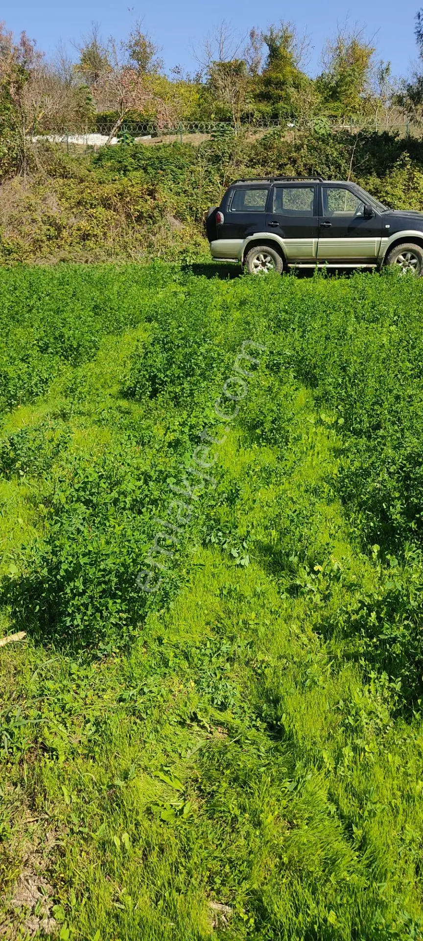 Yatırımlık Mükemmel Tarla — fotoğraf 4