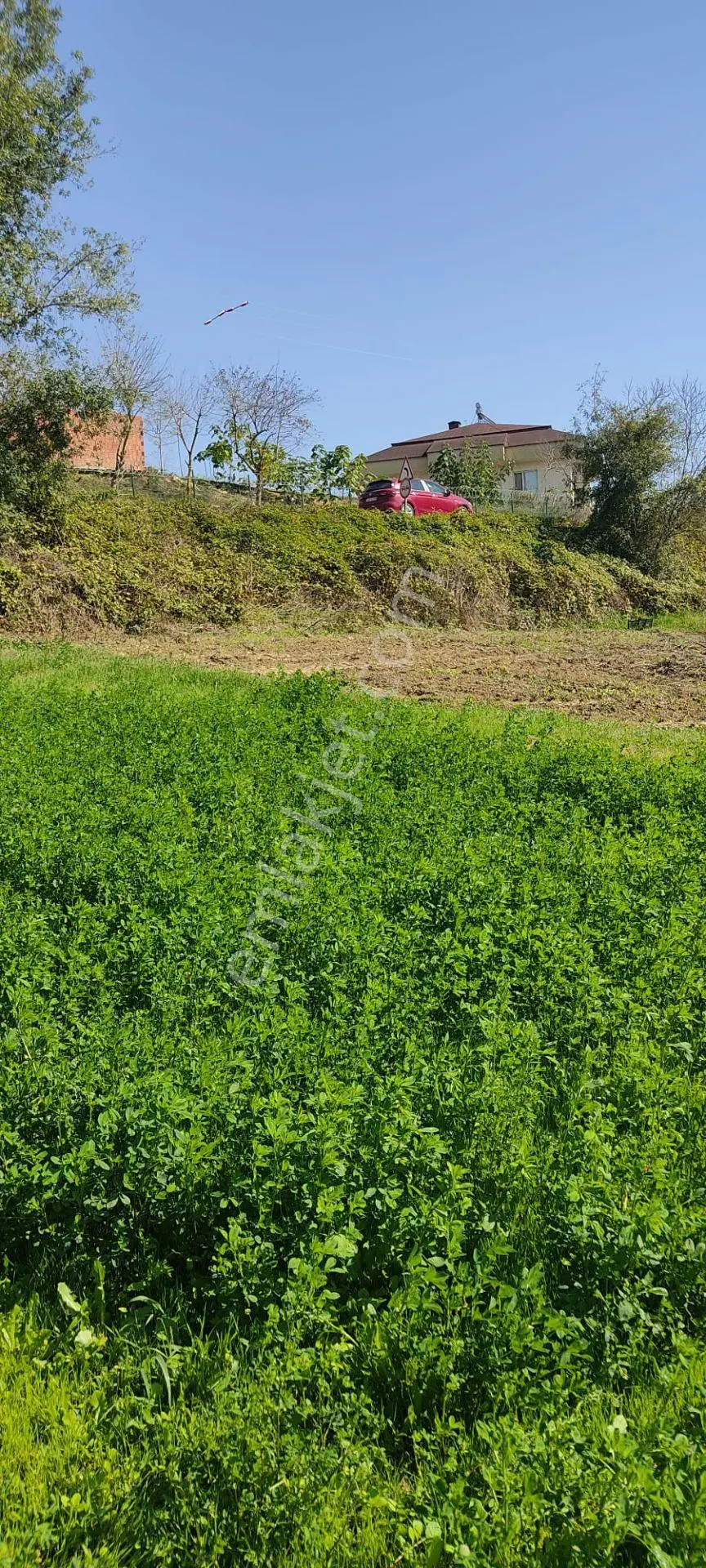 Yatırımlık Mükemmel Tarla — fotoğraf 5
