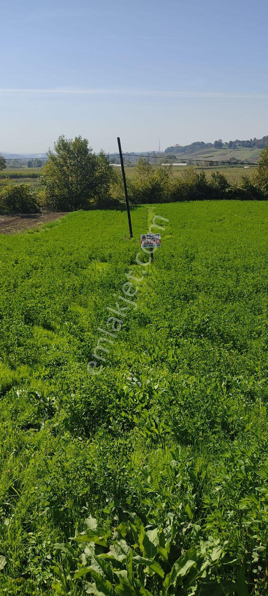 Yatırımlık Mükemmel Tarla — fotoğraf 6