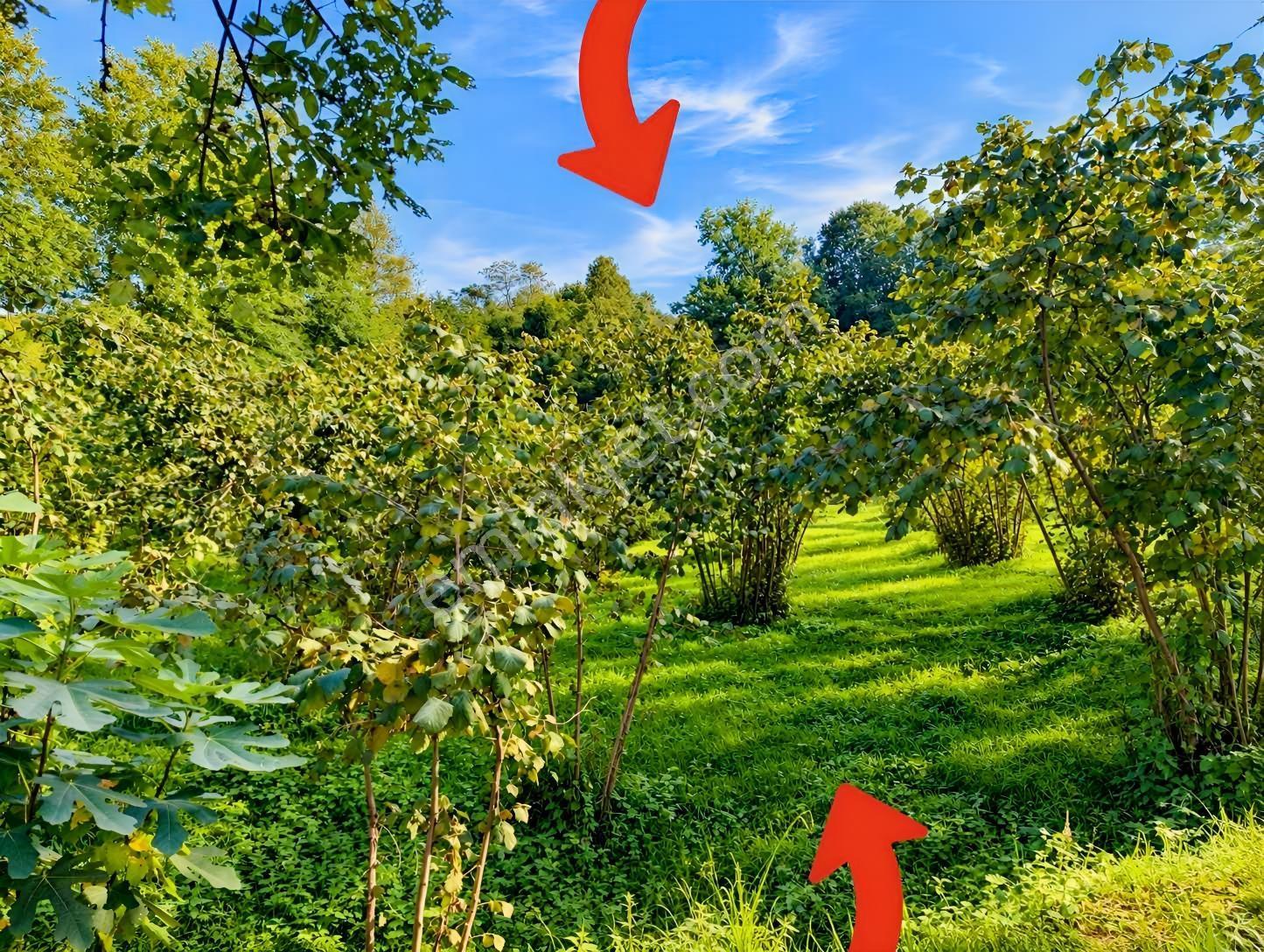 Kireçhane'de Yatırım Fırsatı Arsa — fotoğraf 14