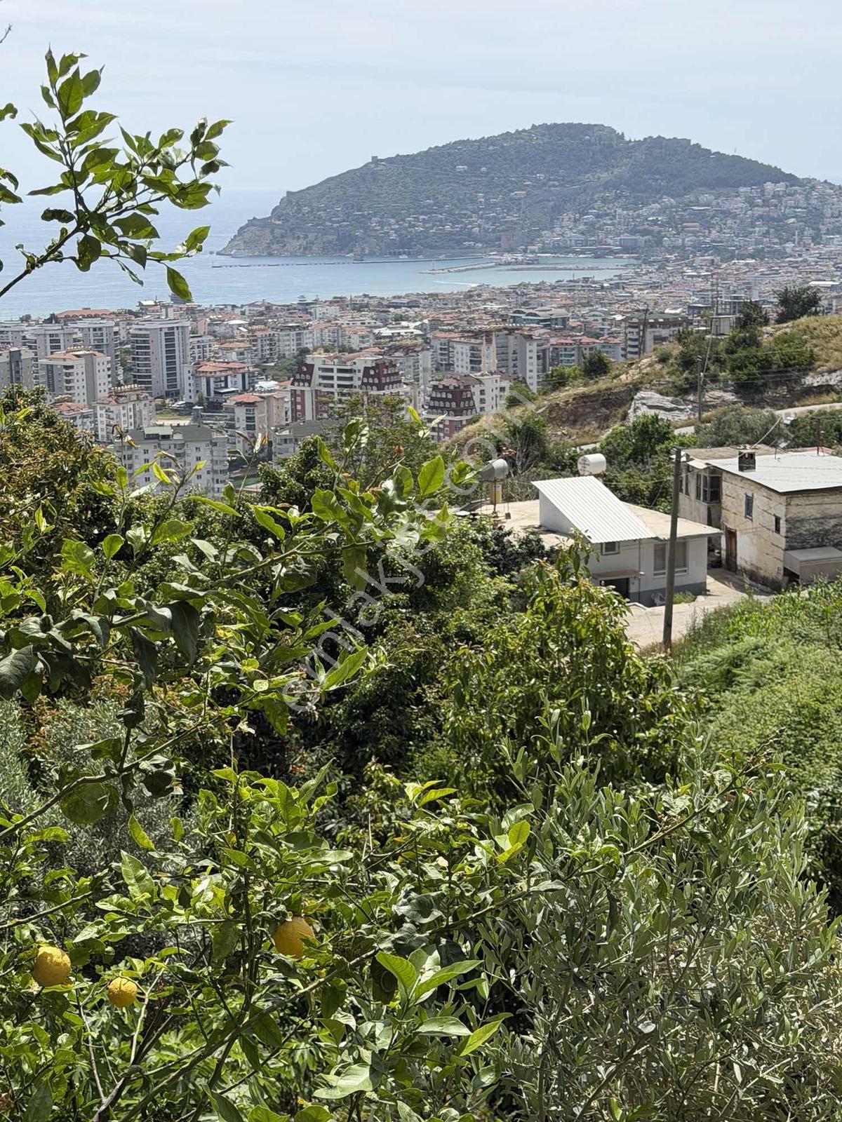 Alanya Çikçilli De Müstakil Havuz 3+1 Villa — fotoğraf 28