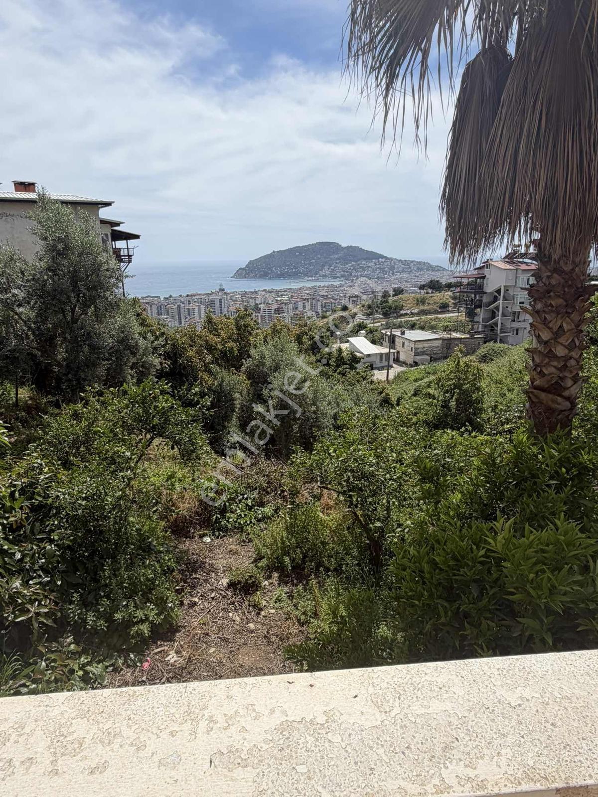 Alanya Çikçilli De Müstakil Havuz 3+1 Villa — fotoğraf 29