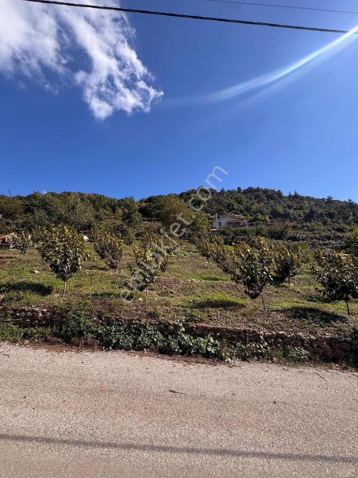 Toroslar Çağlarca Sunturas Köyünde 1.580 M2 Köy İçi İmarlı Arazi — fotoğraf 4