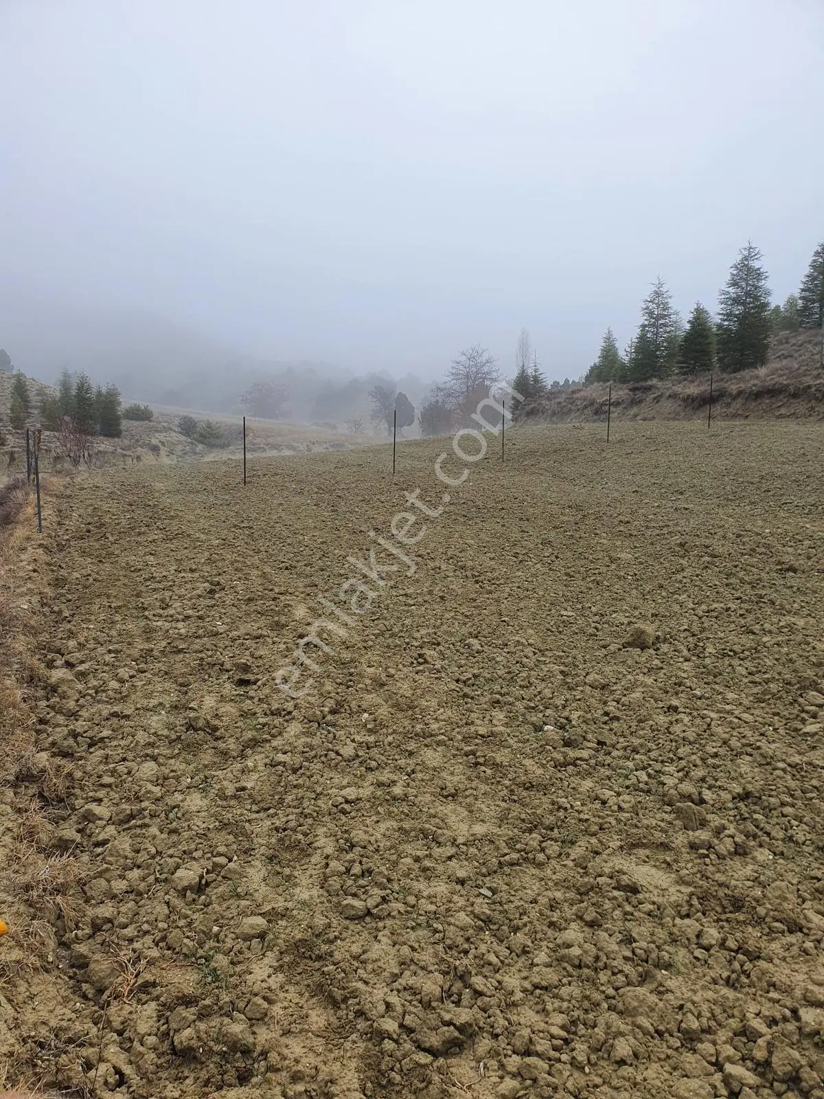Usta Gayrimenkul'den Acil Satılık Burdur Kemer'de 36.773 M2 — fotoğraf 2