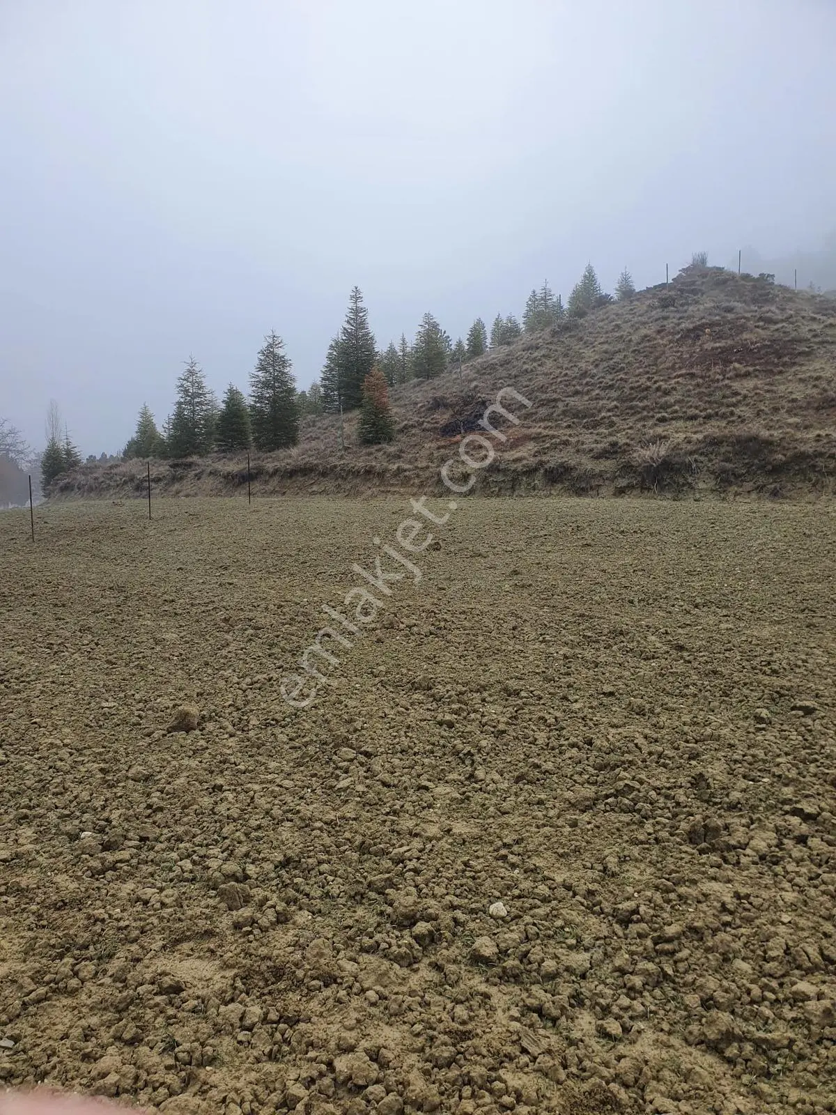 Usta Gayrimenkul'den Acil Satılık Burdur Kemer'de 36.773 M2 — fotoğraf 3