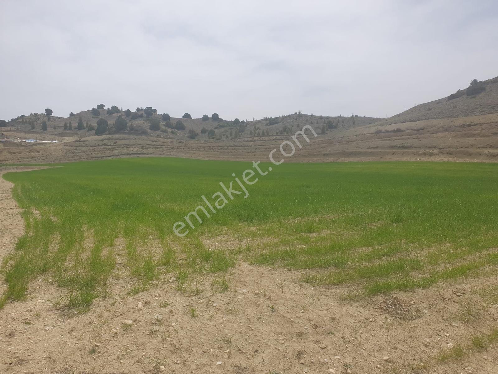 Usta Gayrimenkul'den Acil Satılık Burdur Kemer'de 36.773 M2 — fotoğraf 6