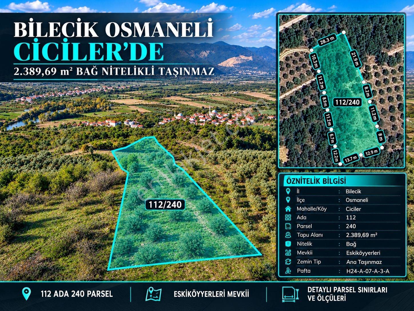 Geyve Osmaneli Sınırı 2390 M2 Bağ Nitelik Panoramik Manzaralı