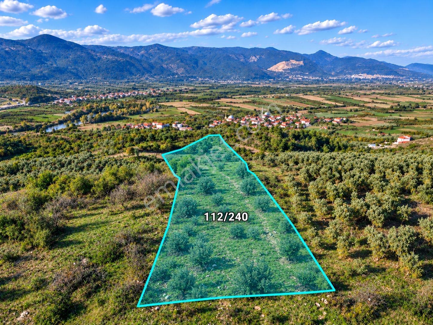 Geyve Osmaneli Sınırı 2390 M2 Bağ Nitelik Panoramik Manzaralı — fotoğraf 2