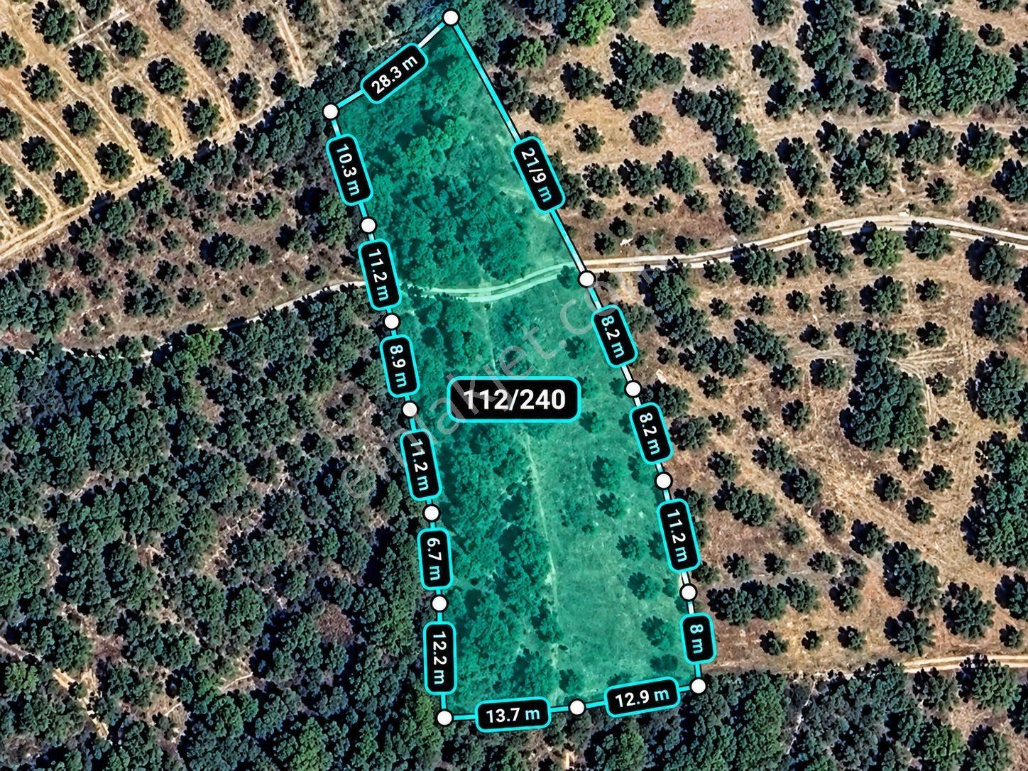 Geyve Osmaneli Sınırı 2390 M2 Bağ Nitelik Panoramik Manzaralı — fotoğraf 3