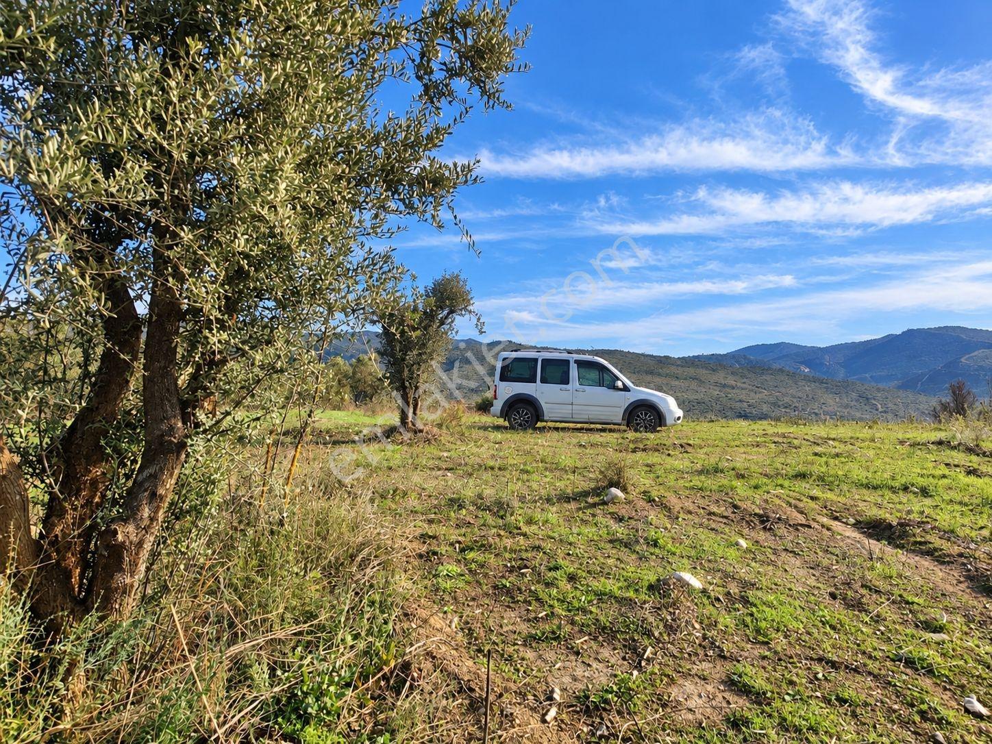 Geyve Osmaneli Sınırı 2390 M2 Bağ Nitelik Panoramik Manzaralı — fotoğraf 4