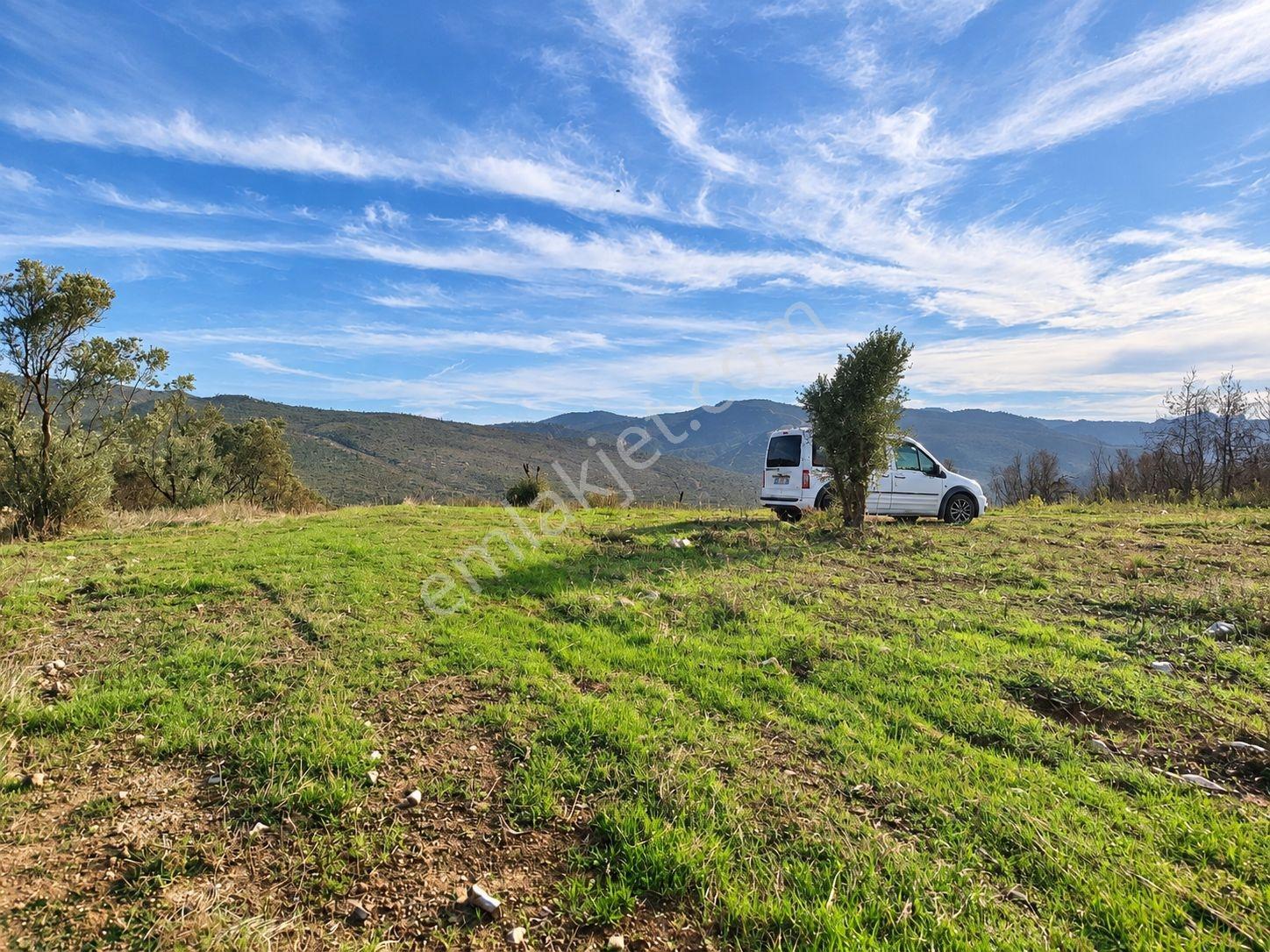 Geyve Osmaneli Sınırı 2390 M2 Bağ Nitelik Panoramik Manzaralı — fotoğraf 5