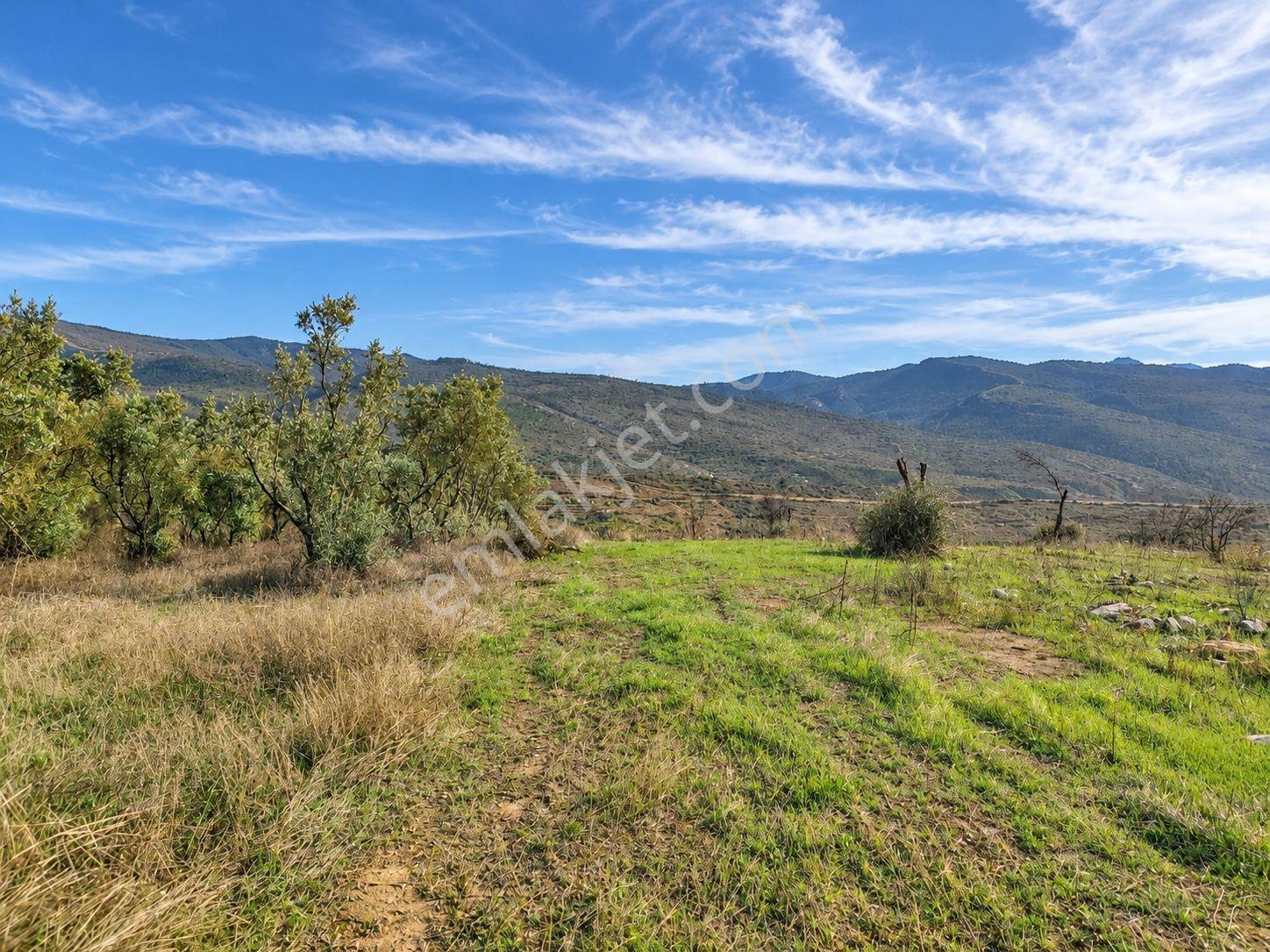 Geyve Osmaneli Sınırı 2390 M2 Bağ Nitelik Panoramik Manzaralı — fotoğraf 7