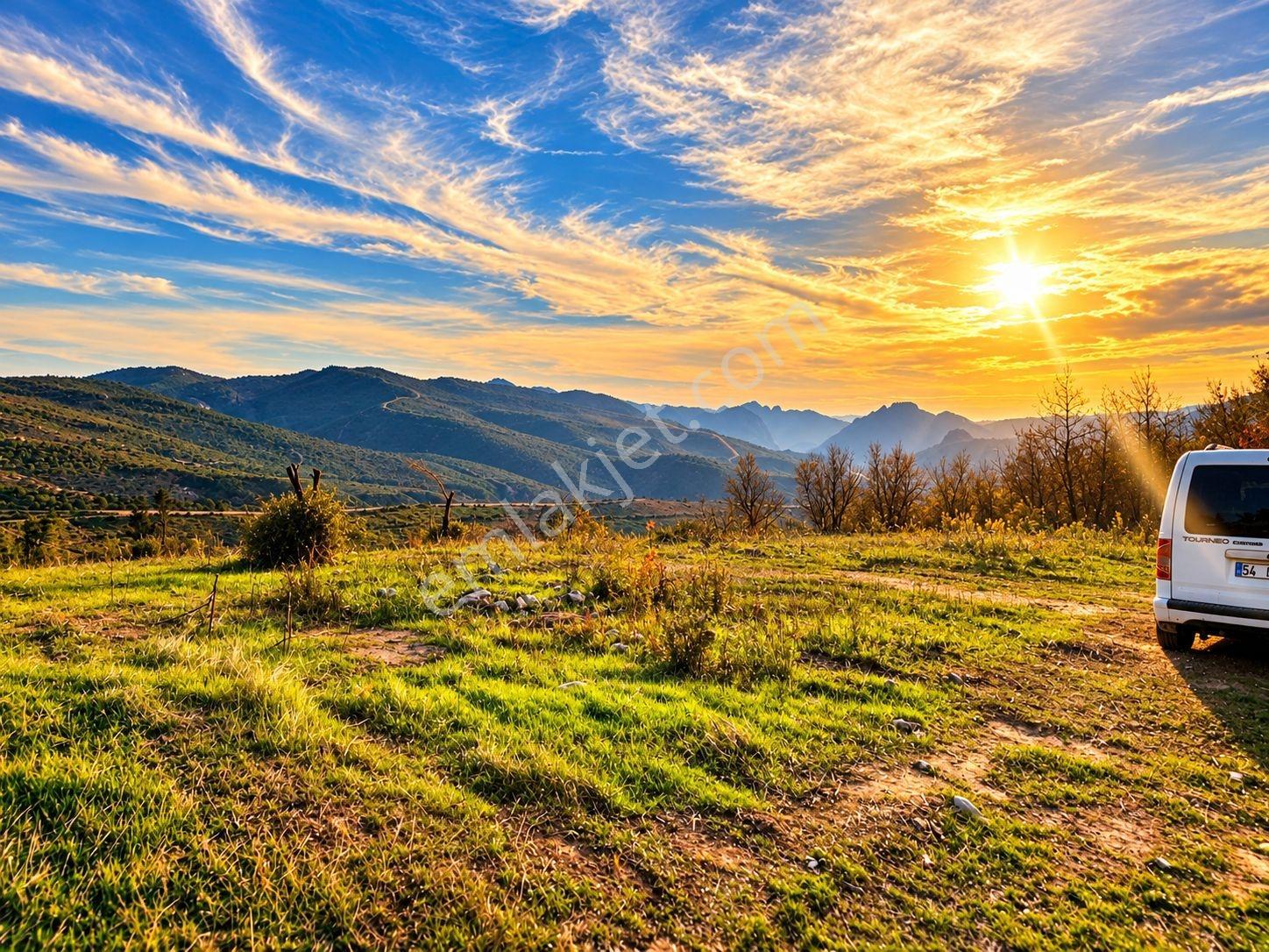 Geyve Osmaneli Sınırı 2390 M2 Bağ Nitelik Panoramik Manzaralı — fotoğraf 8