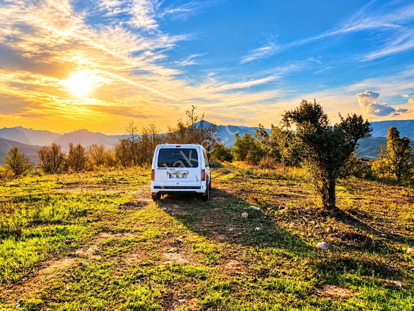 Geyve Osmaneli Sınırı 2390 M2 Bağ Nitelik Panoramik Manzaralı — fotoğraf 9