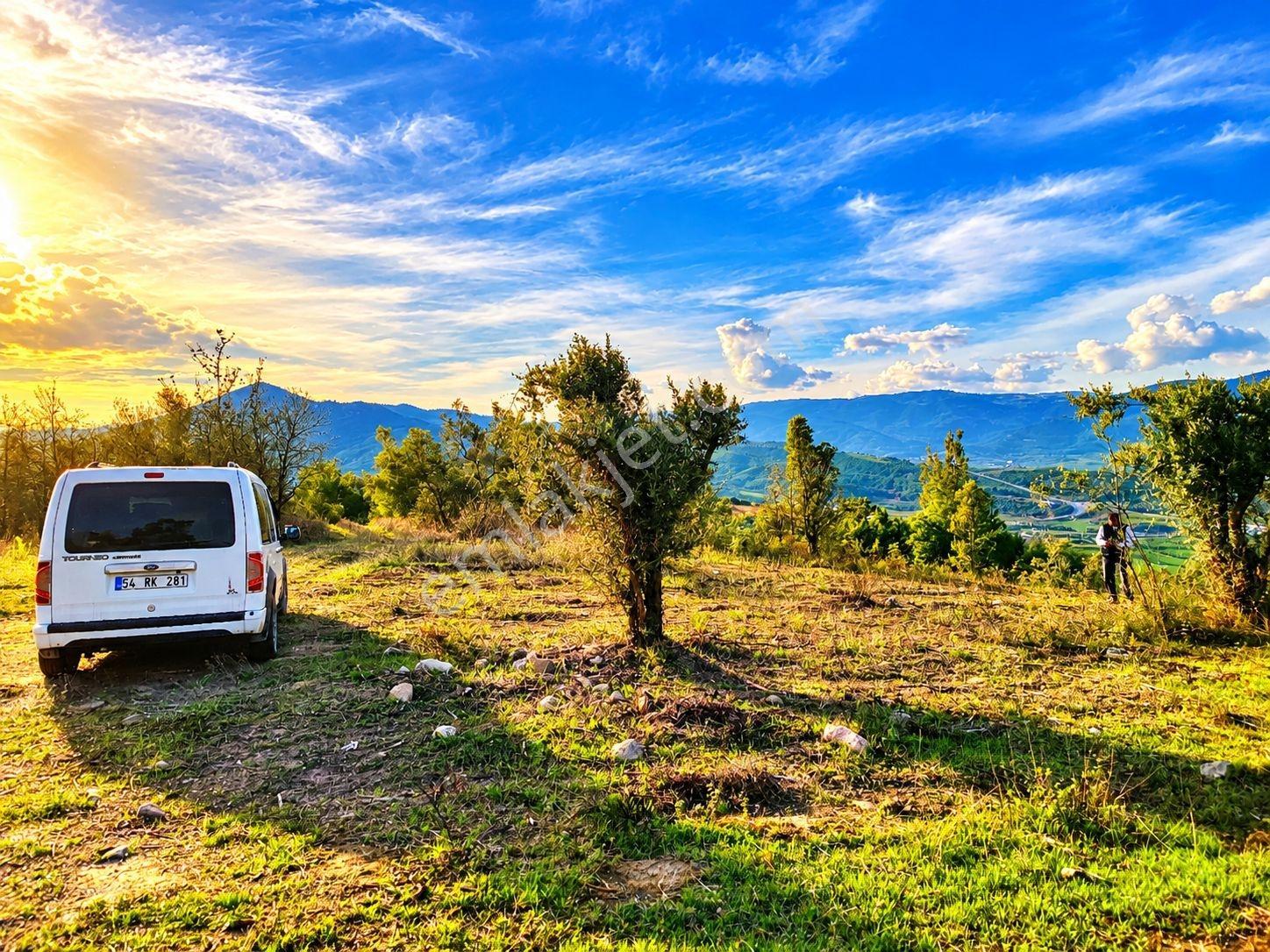 Geyve Osmaneli Sınırı 2390 M2 Bağ Nitelik Panoramik Manzaralı — fotoğraf 10