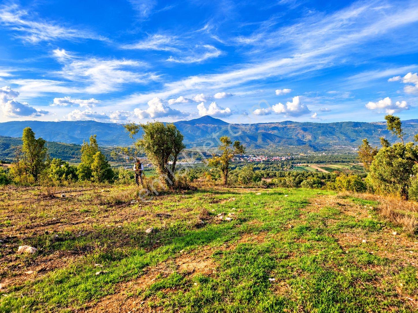 Geyve Osmaneli Sınırı 2390 M2 Bağ Nitelik Panoramik Manzaralı — fotoğraf 11