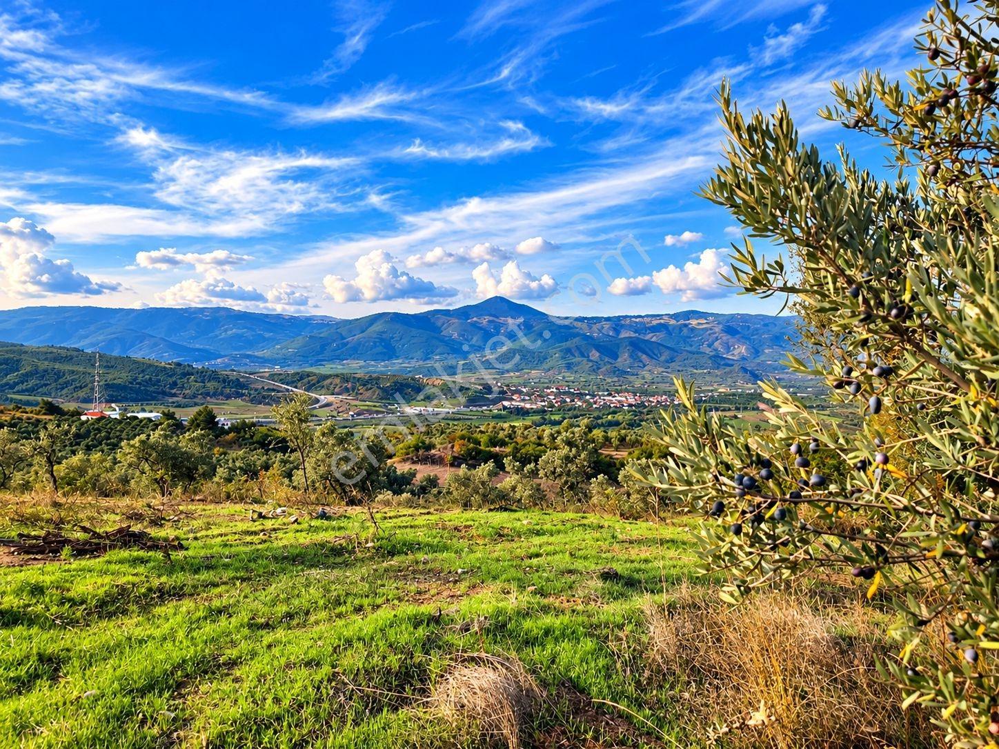 Geyve Osmaneli Sınırı 2390 M2 Bağ Nitelik Panoramik Manzaralı — fotoğraf 12