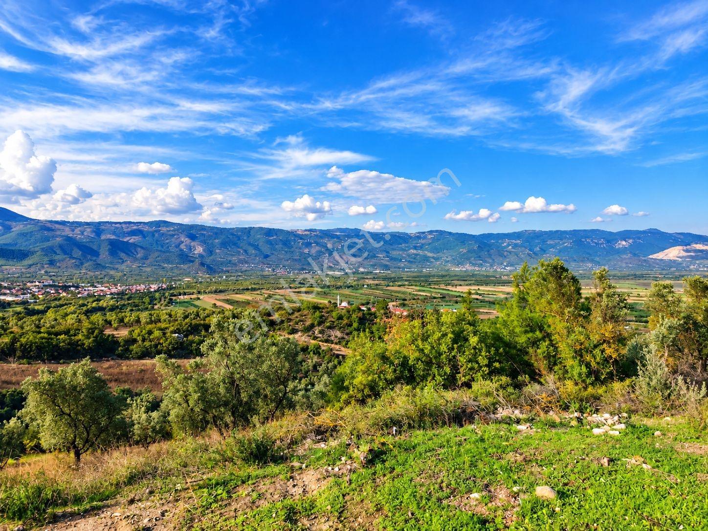 Geyve Osmaneli Sınırı 2390 M2 Bağ Nitelik Panoramik Manzaralı — fotoğraf 14