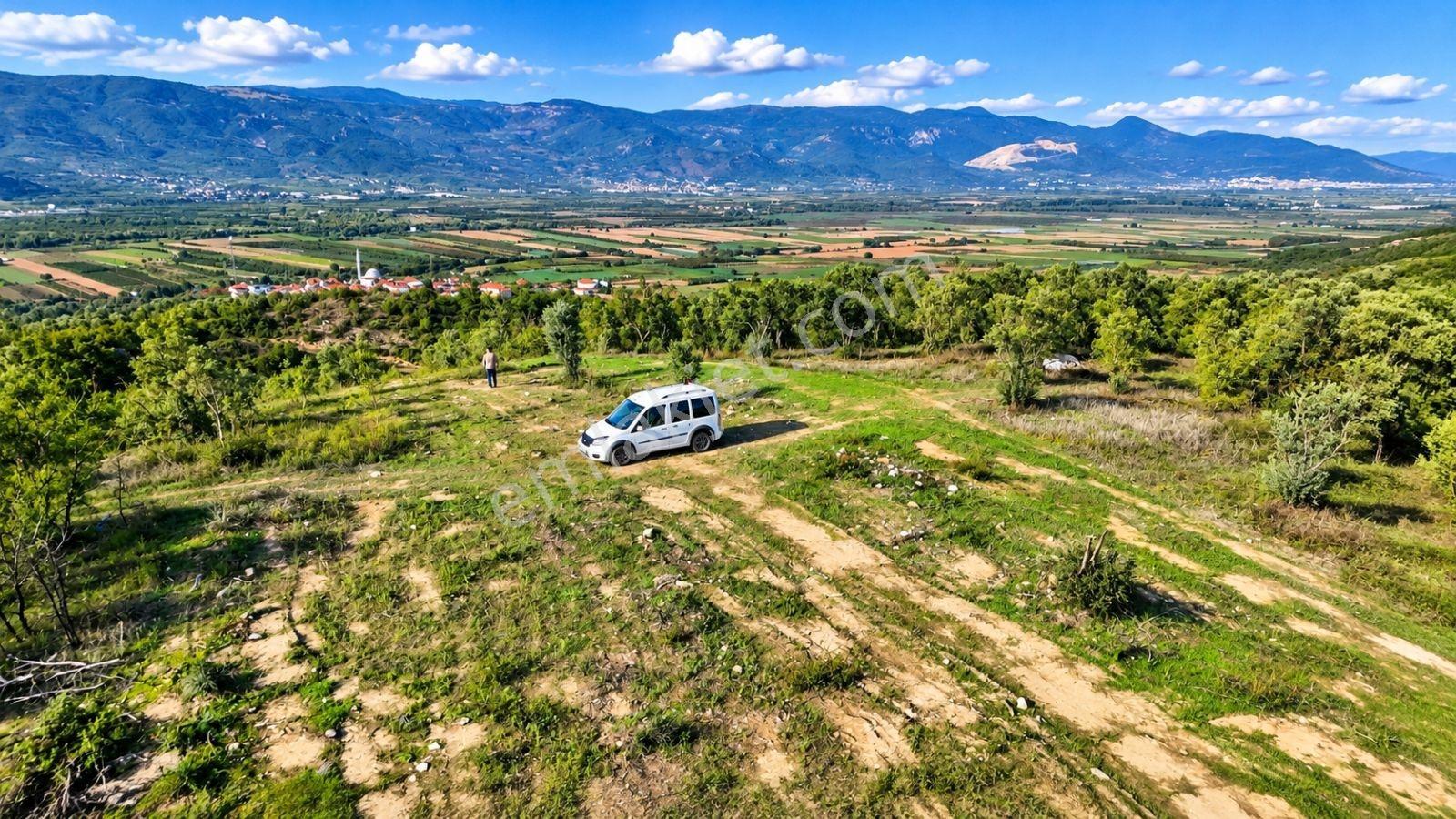Geyve Osmaneli Sınırı 2390 M2 Bağ Nitelik Panoramik Manzaralı — fotoğraf 17