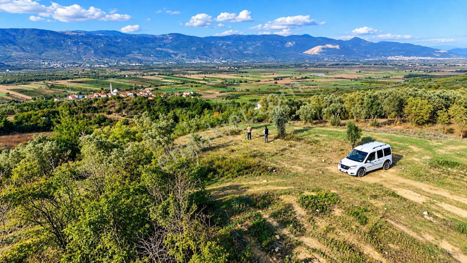 Geyve Osmaneli Sınırı 2390 M2 Bağ Nitelik Panoramik Manzaralı — fotoğraf 18