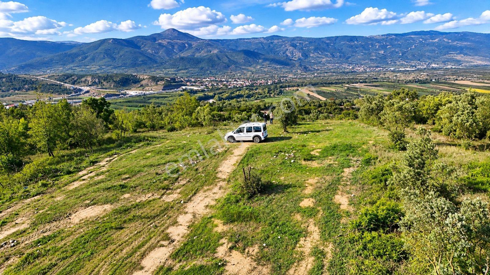 Geyve Osmaneli Sınırı 2390 M2 Bağ Nitelik Panoramik Manzaralı — fotoğraf 19