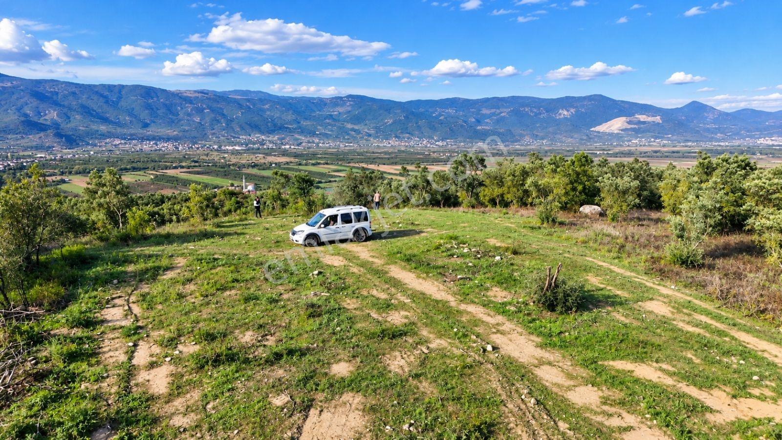 Geyve Osmaneli Sınırı 2390 M2 Bağ Nitelik Panoramik Manzaralı — fotoğraf 20