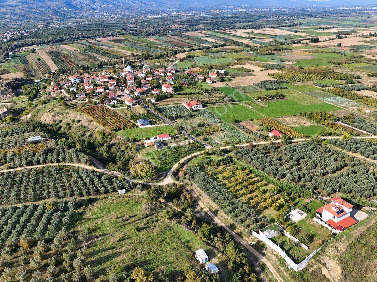 Geyve Osmaneli Sınırı 2390 M2 Bağ Nitelik Panoramik Manzaralı — fotoğraf 24