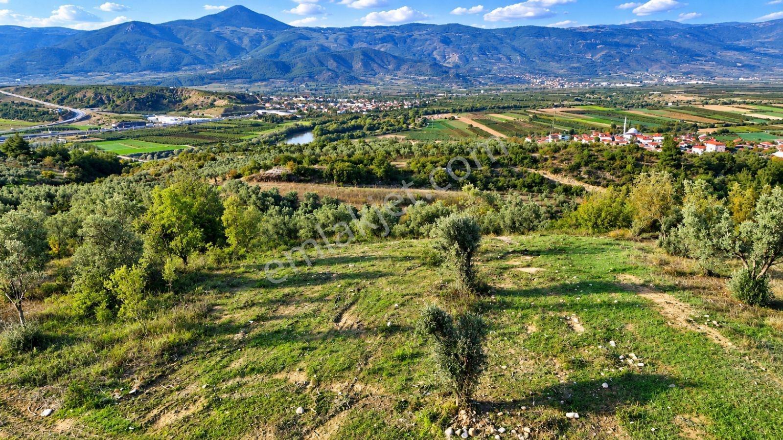 Geyve Osmaneli Sınırı 2390 M2 Bağ Nitelik Panoramik Manzaralı — fotoğraf 27