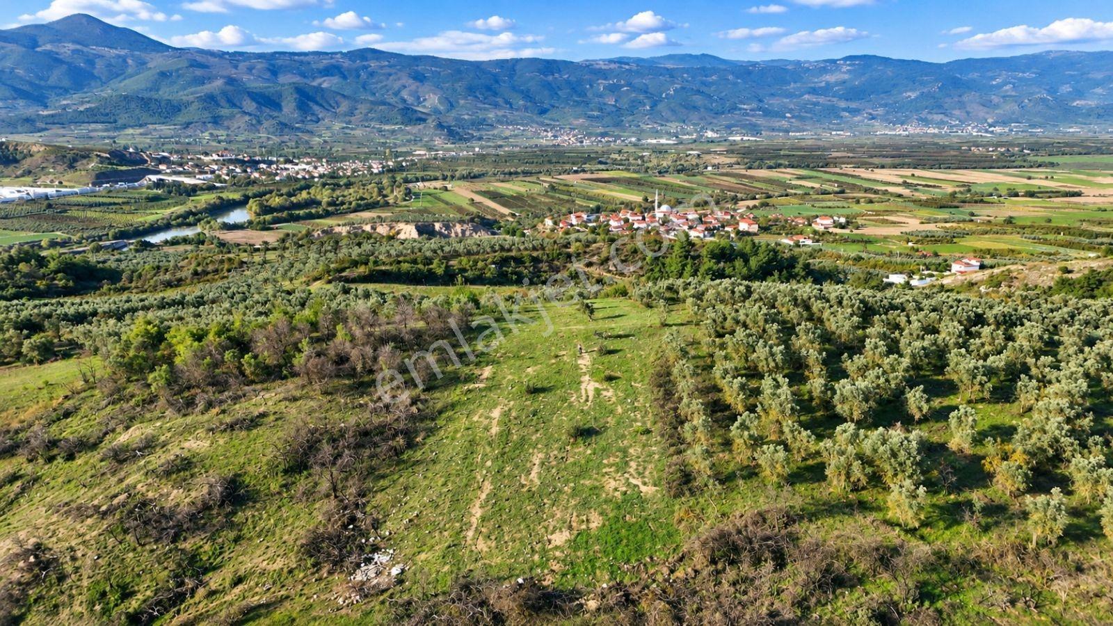 Geyve Osmaneli Sınırı 2390 M2 Bağ Nitelik Panoramik Manzaralı — fotoğraf 28