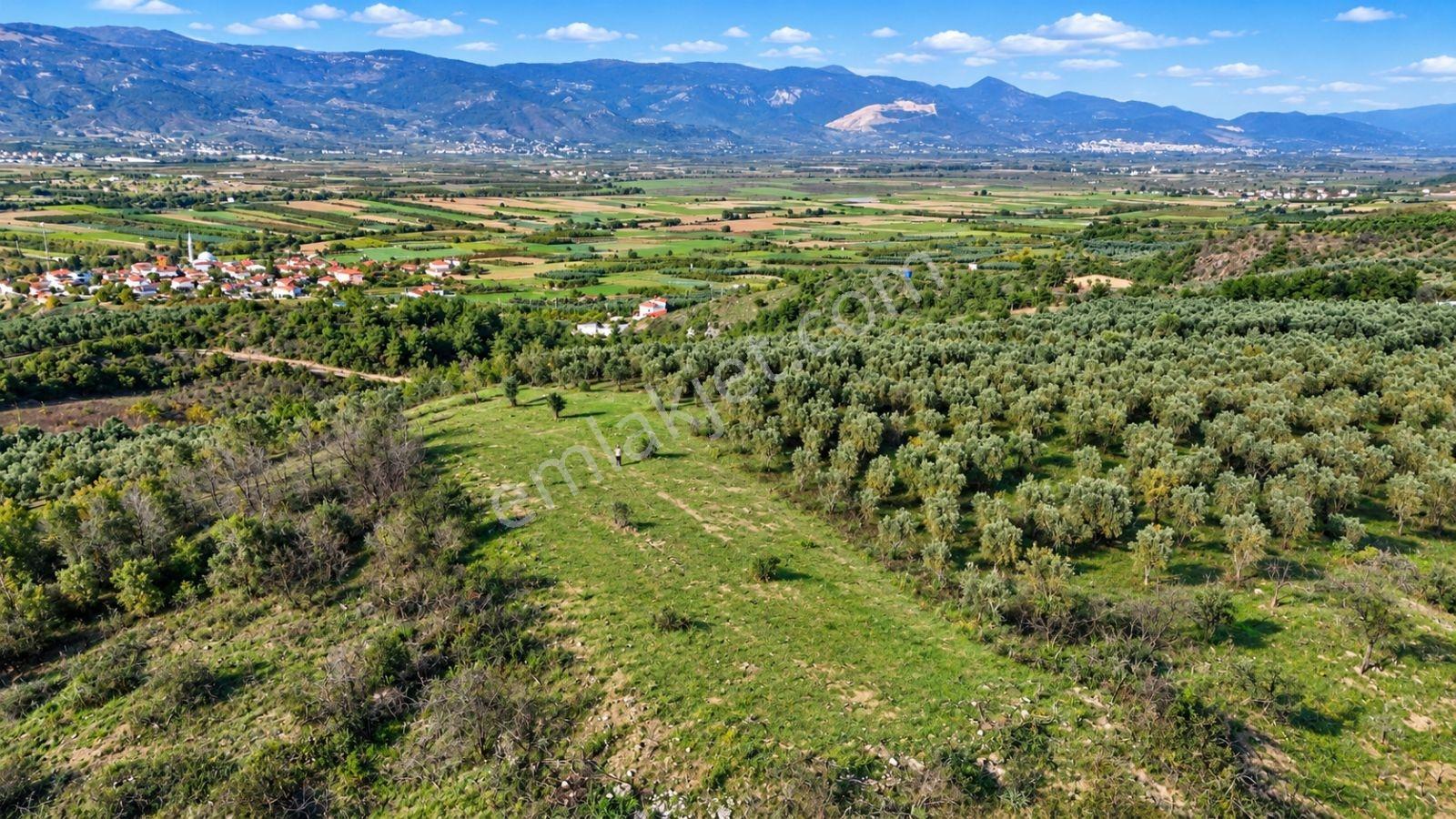 Geyve Osmaneli Sınırı 2390 M2 Bağ Nitelik Panoramik Manzaralı — fotoğraf 29